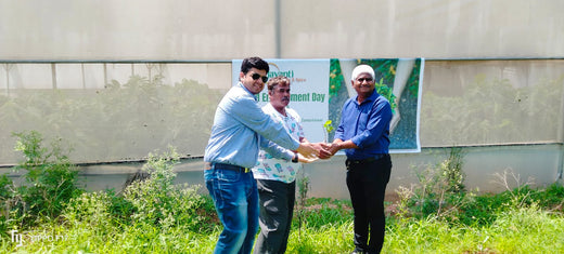 Celebrating World Environment Day: Jayanti Herbs & Spice's Commitment to Urban Forests and Employee Engagement – Planting