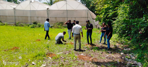 Celebrating World Environment Day: Jayanti Herbs & Spice's Commitment to Urban Forests and Employee Engagement – Planting