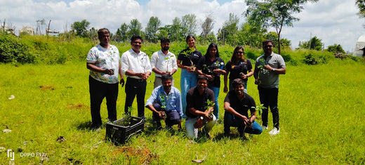 Celebrating World Environment Day: Jayanti Herbs & Spice's Commitment to Urban Forests and Employee Engagement – Planting