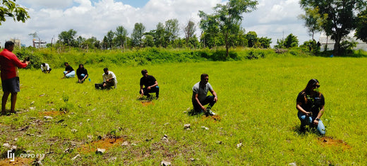 Celebrating World Environment Day: Jayanti Herbs & Spice's Commitment to Urban Forests and Employee Engagement – Planting
