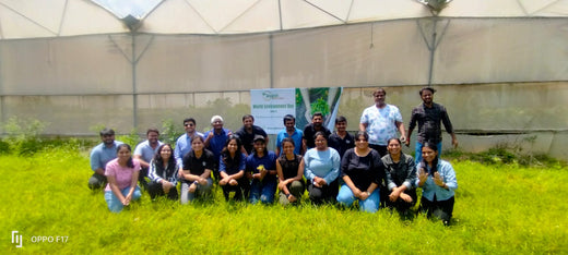 Celebrating World Environment Day: Jayanti Herbs & Spice's Commitment to Urban Forests and Employee Engagement – Planting