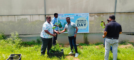 Celebrating World Environment Day: Jayanti Herbs & Spice's Commitment to Urban Forests and Employee Engagement – Planting