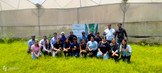 Celebrating World Environment Day: Jayanti Herbs & Spice's Commitment to Urban Forests and Employee Engagement – Planting
