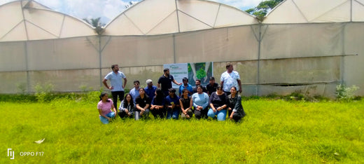 Celebrating World Environment Day: Jayanti Herbs & Spice's Commitment to Urban Forests and Employee Engagement – Planting