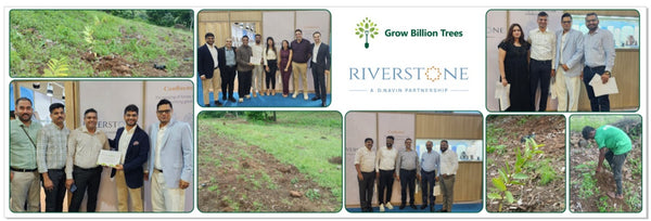 Riverstone Jewels: Crafting Green Legacies
