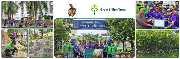 KKR Runs to Roots: Turning Every Run into a Tree
