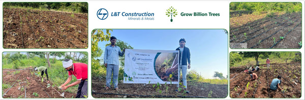 L&T’s Green Symphony: Nurturing Life through Miyawaki Forests