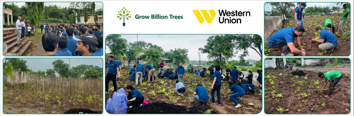 Western Union Services India Pvt. Ltd.: CSR for a Greener Future