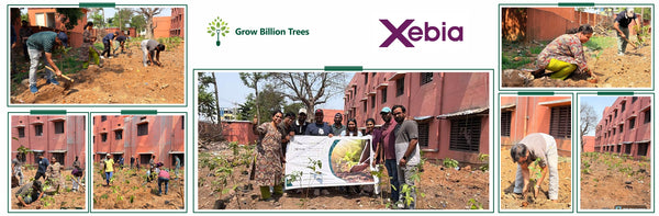 Xebia Advancing Urban Sustainability Through Tree Plantation