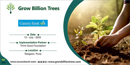 "Planting Seeds of Change: Canara Bank’s Employee-Driven Agroforestry Initiative" – Planting