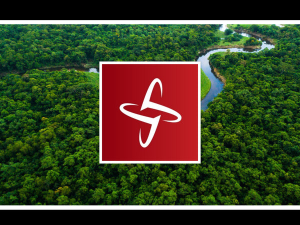 Forest for The Remarkable Women Founders
