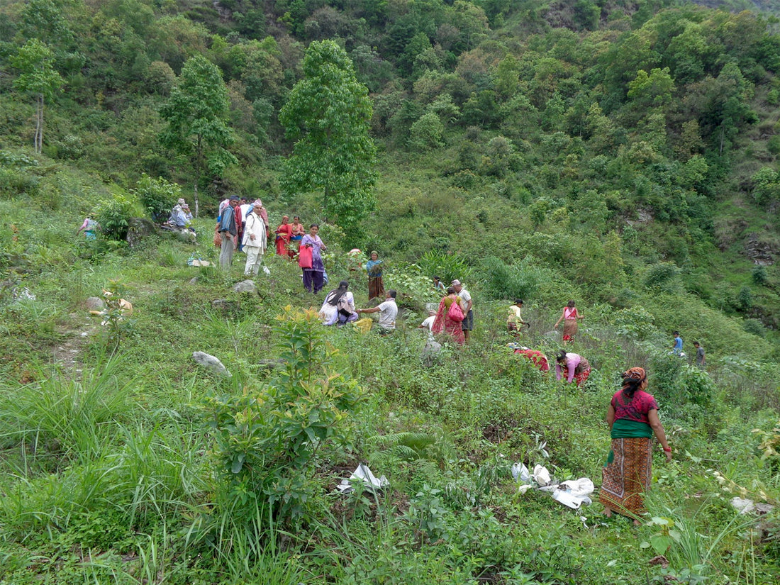 Community Forest Management Shared Spaces Shared Responsibilities