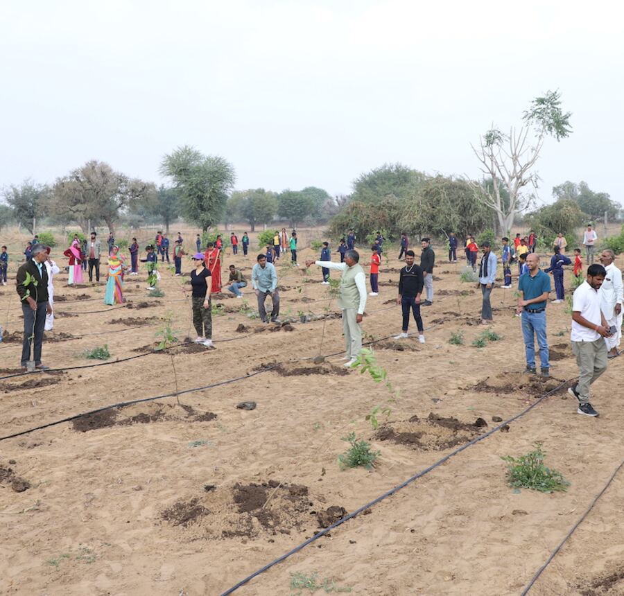 Large group planting trees together at a corporate plantation drive
