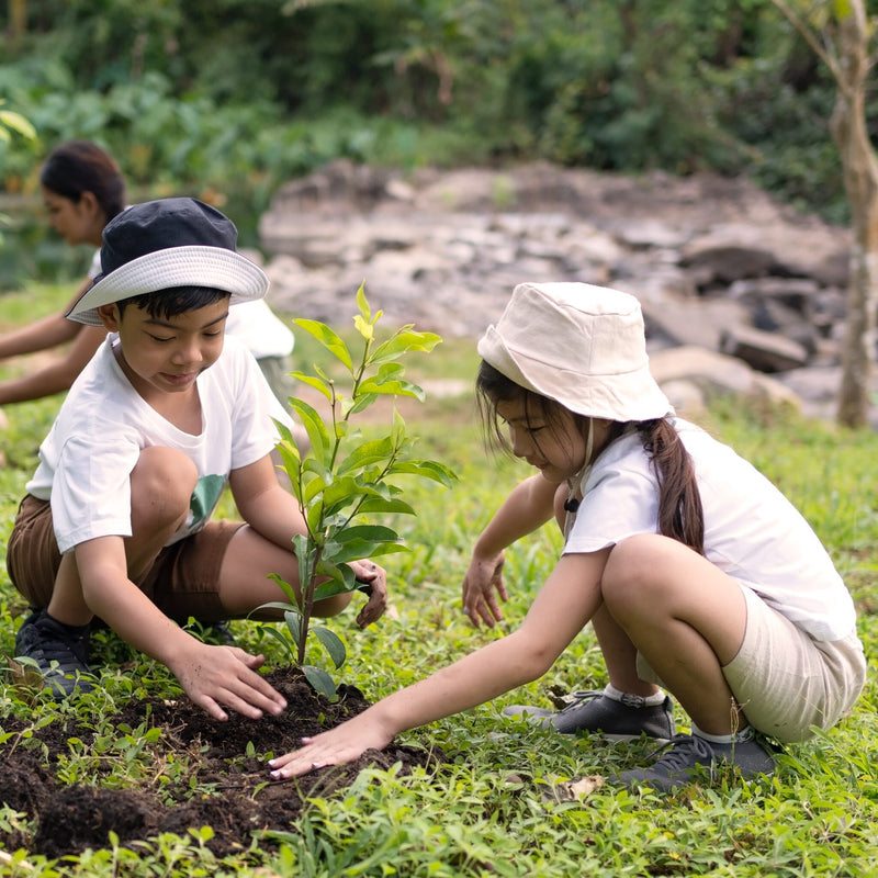 Children planting a sapling together: a Diwali tree gift for every employee