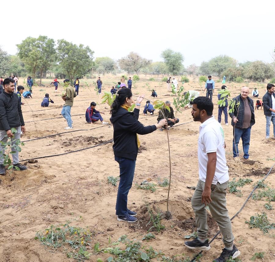 Employees planting saplings at a corporate tree plantation drive