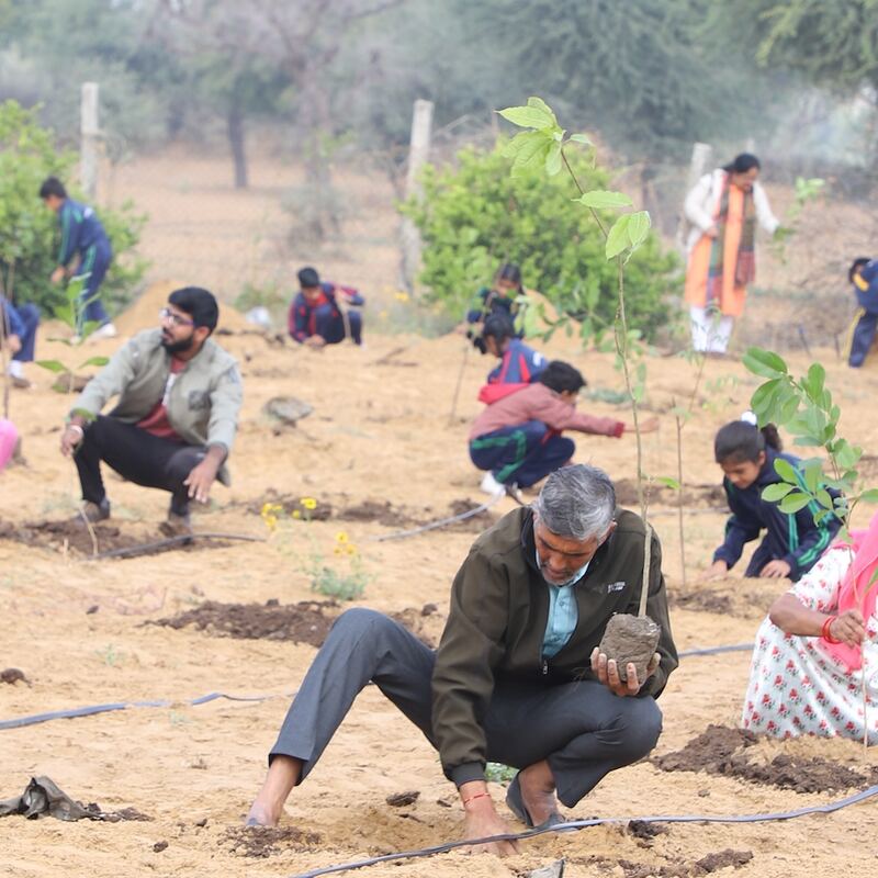 Community members kneeling to plant saplings along drip lines