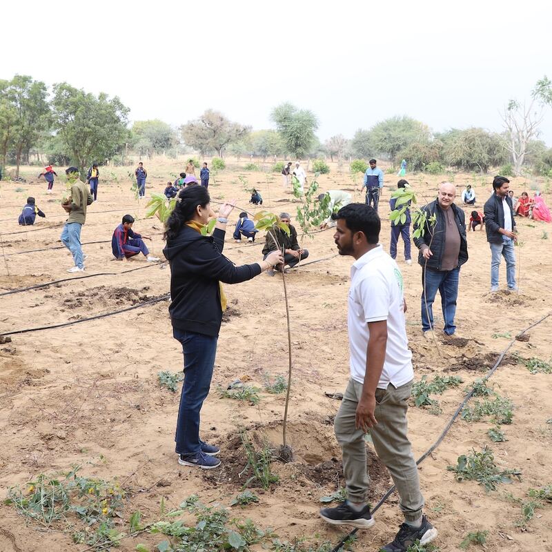 Employees planting and watering saplings at a corporate plantation drive