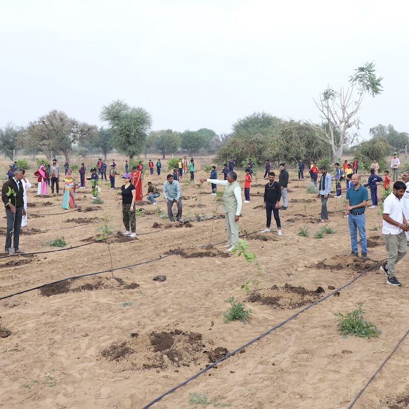 Large group planting trees together at a corporate plantation drive
