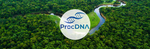 Procdna Corporate Forest – Grow Billion Trees