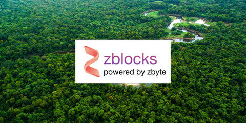 zblocks: Pioneer in customer engagement solutions