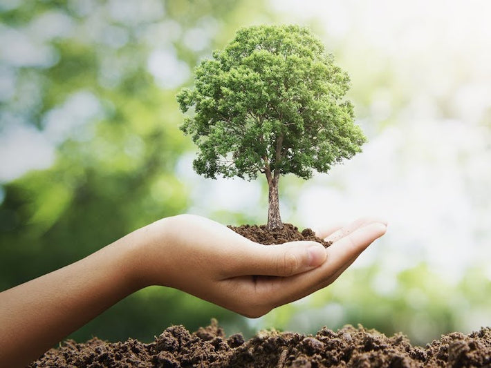 Plant a tree in your Name for ₹299. Planting 100 crore trees in India ...