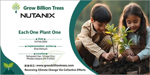 Each Tree, a Step Forward: Nutanix's Agroforest CSR Initiative – Planting