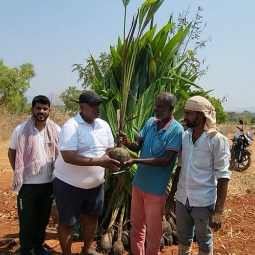 Tally Solutions Private Limited’s Sustainability Initiative – Planting