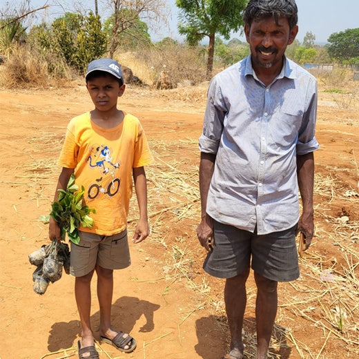 Tally Solutions Private Limited’s Sustainability Initiative – Planting