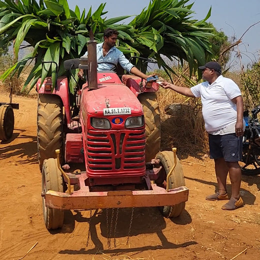 Tally Solutions Private Limited’s Sustainability Initiative – Planting