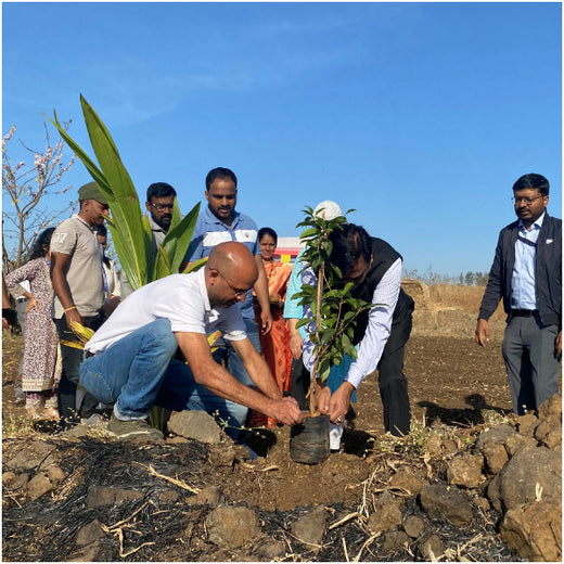 AgroForestry for Digital Payment Awareness Week - By Reserve Bank Of India(RBI) – Planting