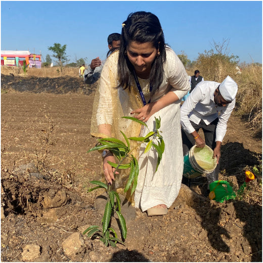AgroForestry for Digital Payment Awareness Week - By Reserve Bank Of India(RBI) – Planting