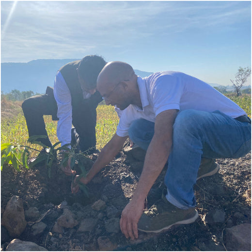 AgroForestry for Digital Payment Awareness Week - By Reserve Bank Of India(RBI) – Planting