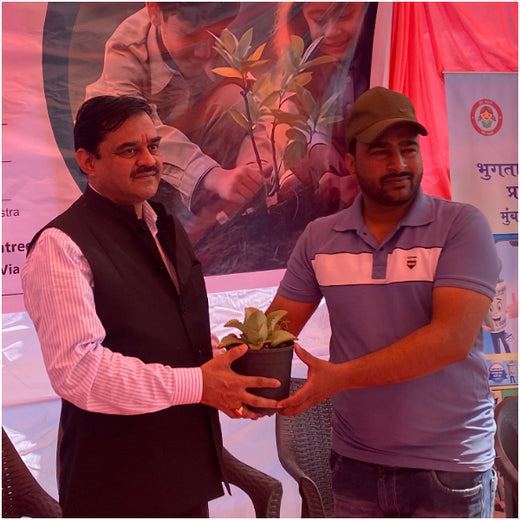 AgroForestry for Digital Payment Awareness Week - By Reserve Bank Of India(RBI) – Planting