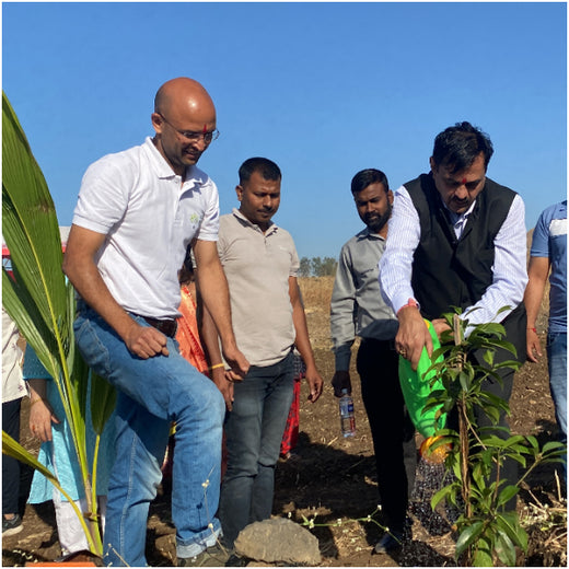 AgroForestry for Digital Payment Awareness Week - By Reserve Bank Of India(RBI) – Planting
