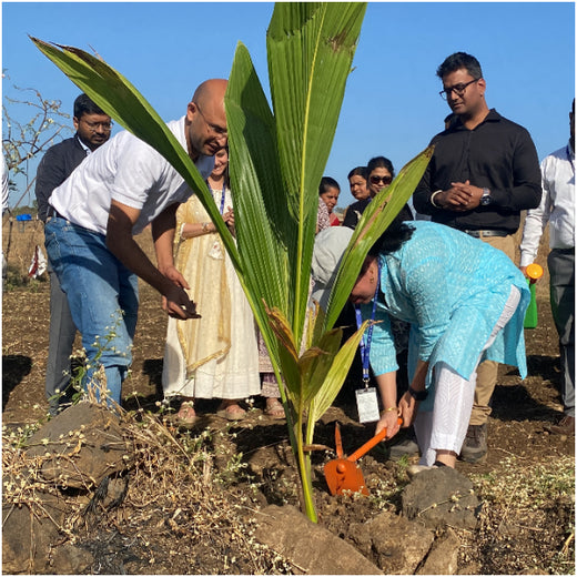 AgroForestry for Digital Payment Awareness Week - By Reserve Bank Of India(RBI) – Planting