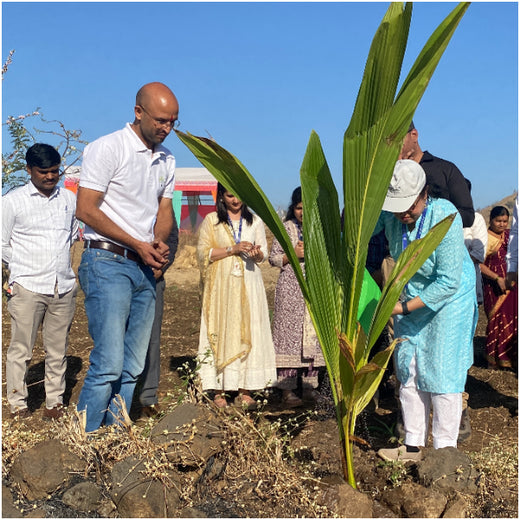 AgroForestry for Digital Payment Awareness Week - By Reserve Bank Of India(RBI) – Planting