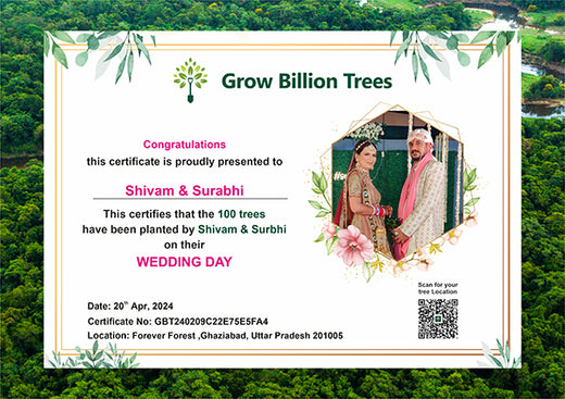Green Vows: Shivam & Surbhi’s Wedding Gift to Nature – Planting