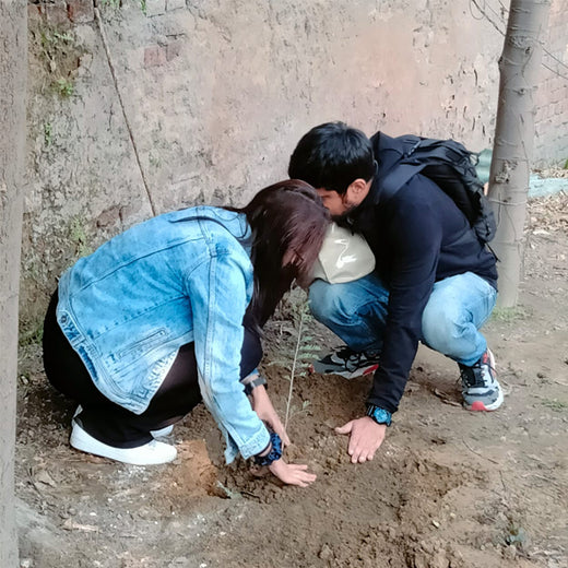 Green Vows: Shivam & Surbhi’s Wedding Gift to Nature – Planting