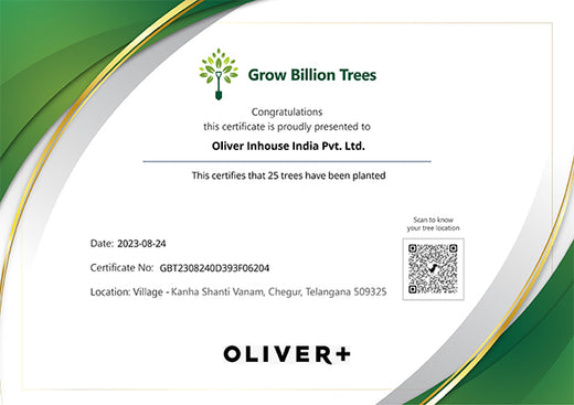 Elevating Style, Enriching Soil – Oliver+’s Agroforest Vision – Planting