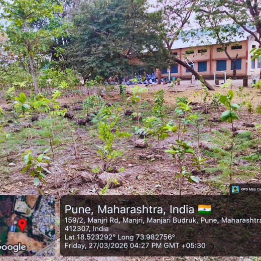 Engineering Green Futures: BPW India’s “Grow a Tree” Urban Forest – 6 months