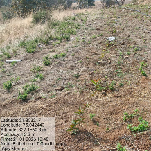 Blithchron 2025 at IIT Gandhinagar: Sustainability Run for Earth – 6 months