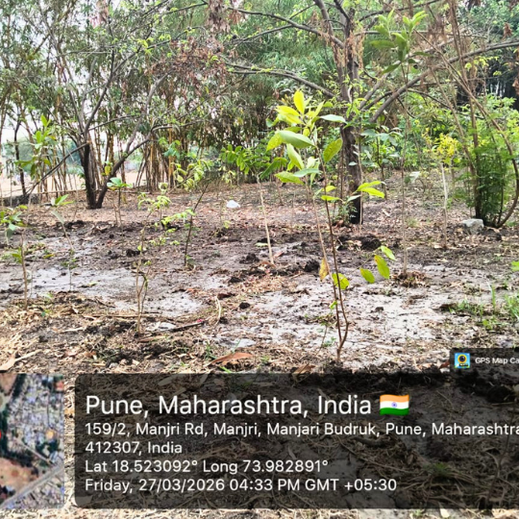 Digital Roots, Green Shoots: DOT PROFESSIONALS'  Urban Forest CSR Drive – 1 year