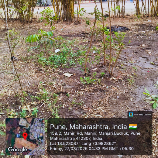 Digital Roots, Green Shoots: DOT PROFESSIONALS'  Urban Forest CSR Drive – 1 year