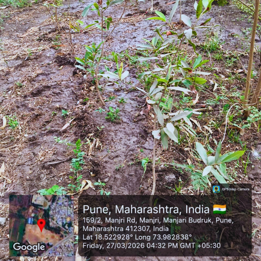 Digital Roots, Green Shoots: DOT PROFESSIONALS'  Urban Forest CSR Drive – 1 year