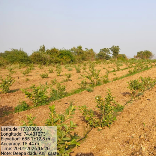 A Green Tribute of Devotion: Deepa Dadu’s Sacred Sustainability – 2 years