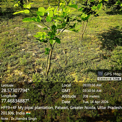 Dr. Jitendra Singh Forest: Planting Seeds of Leadership and Sustainability in Noida – 6 months