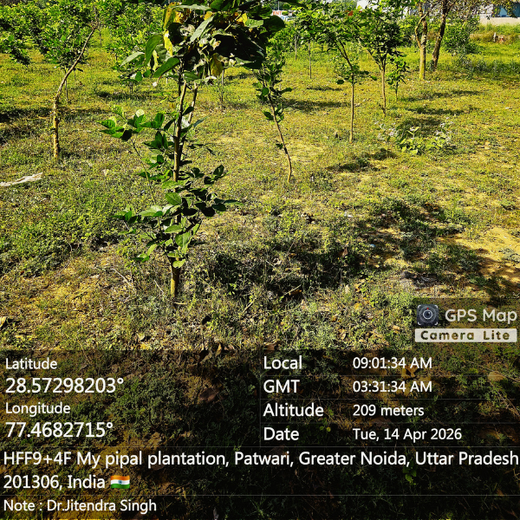 Forest in the Memory of Late Shri Ved Prakash Modi and Late Smt Nirmal Modi – 1 year