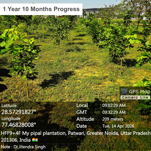 Forest in the Memory of Late Shri Ved Prakash Modi and Late Smt Nirmal Modi – 1 year