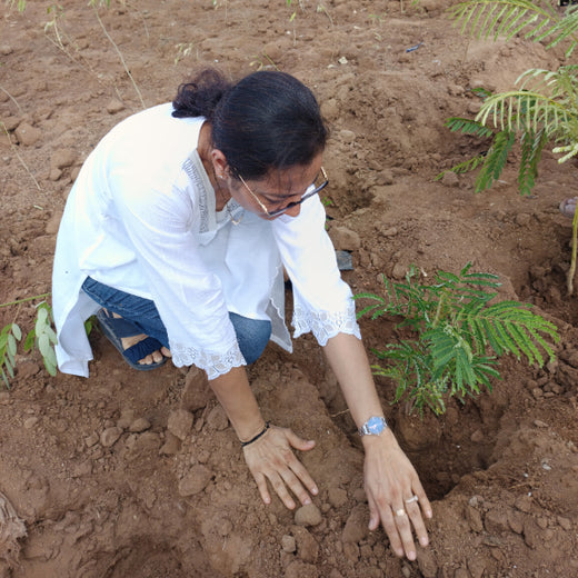 Polymart Plants the Future: Engaging Employees Through Urban Forestry – Planting