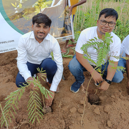Polymart Plants the Future: Engaging Employees Through Urban Forestry – Planting
